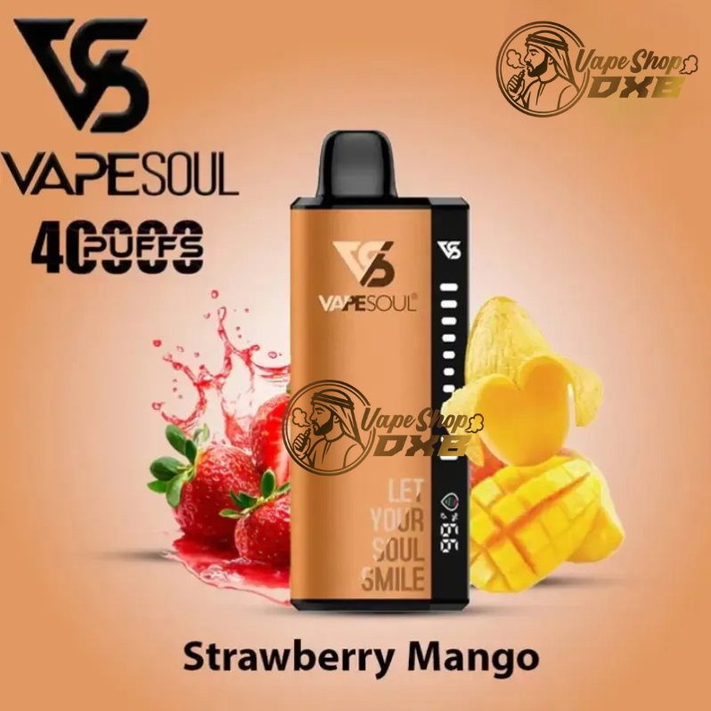 Buy Vapesoul 40K Puffs Disposable Vape  Dubai UAE