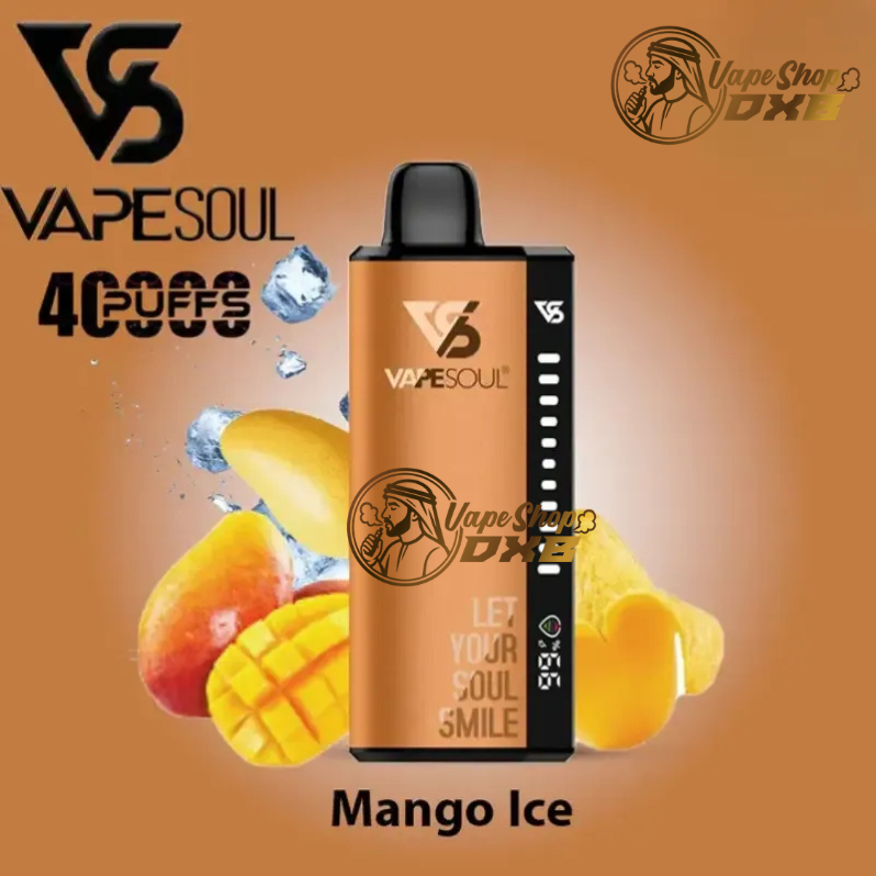 Buy Vapesoul 40K Puffs Disposable Vape  Dubai UAE