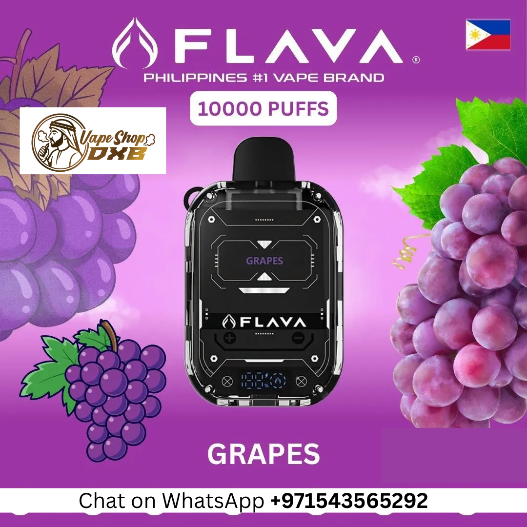 Flava Nimmbox 10000 Puffs 30mg Vape – Mesh Coil & Display Screen Dubai