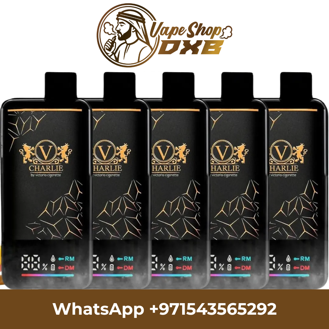 VICIG Charlie 15000 Puffs 20MG Rechargeable Disposable Vape Dubai