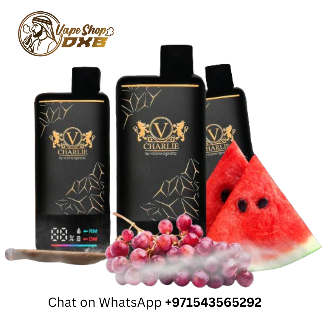 VICIG Charlie 15000 Puffs 20MG Rechargeable Disposable Vape Dubai