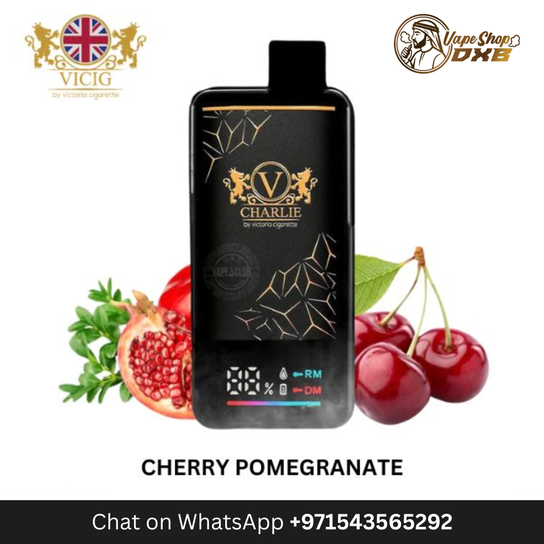 VICIG Charlie 15000 Puffs 20MG Rechargeable Disposable Vape Dubai