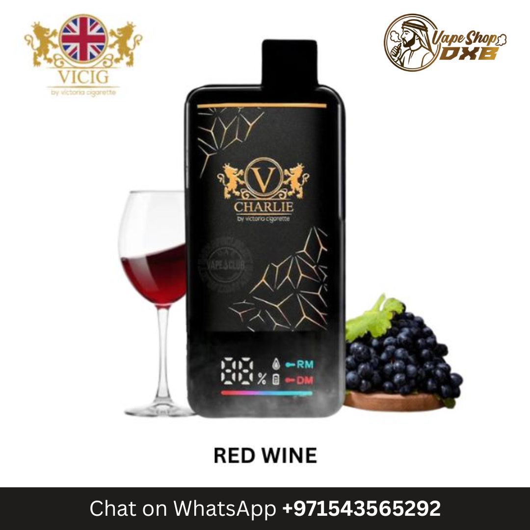 VICIG Charlie 15000 Puffs 20MG Rechargeable Disposable Vape Dubai