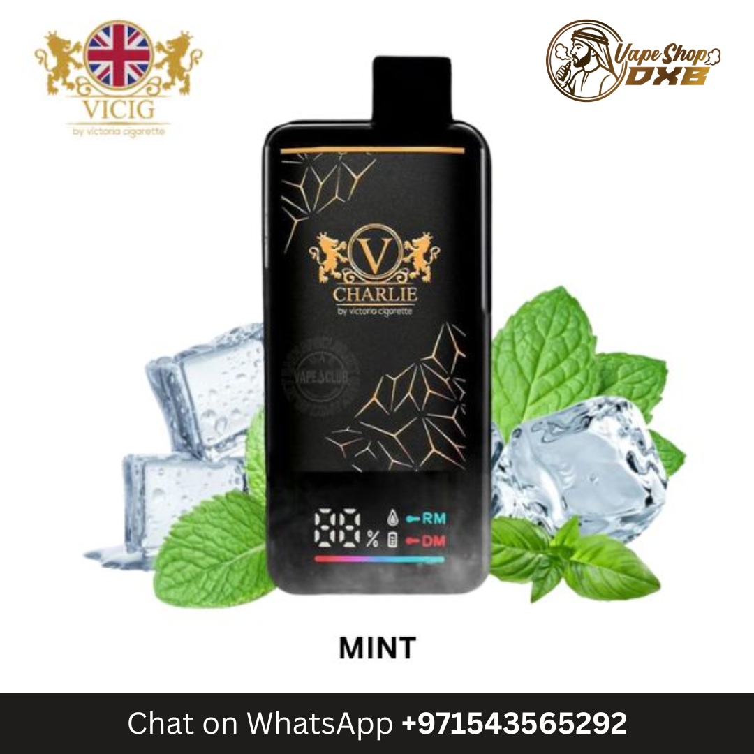 VICIG Charlie 15000 Puffs 20MG Rechargeable Disposable Vape Dubai
