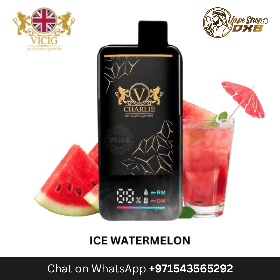 VICIG Charlie 15000 Puffs 20MG Rechargeable Disposable Vape Dubai