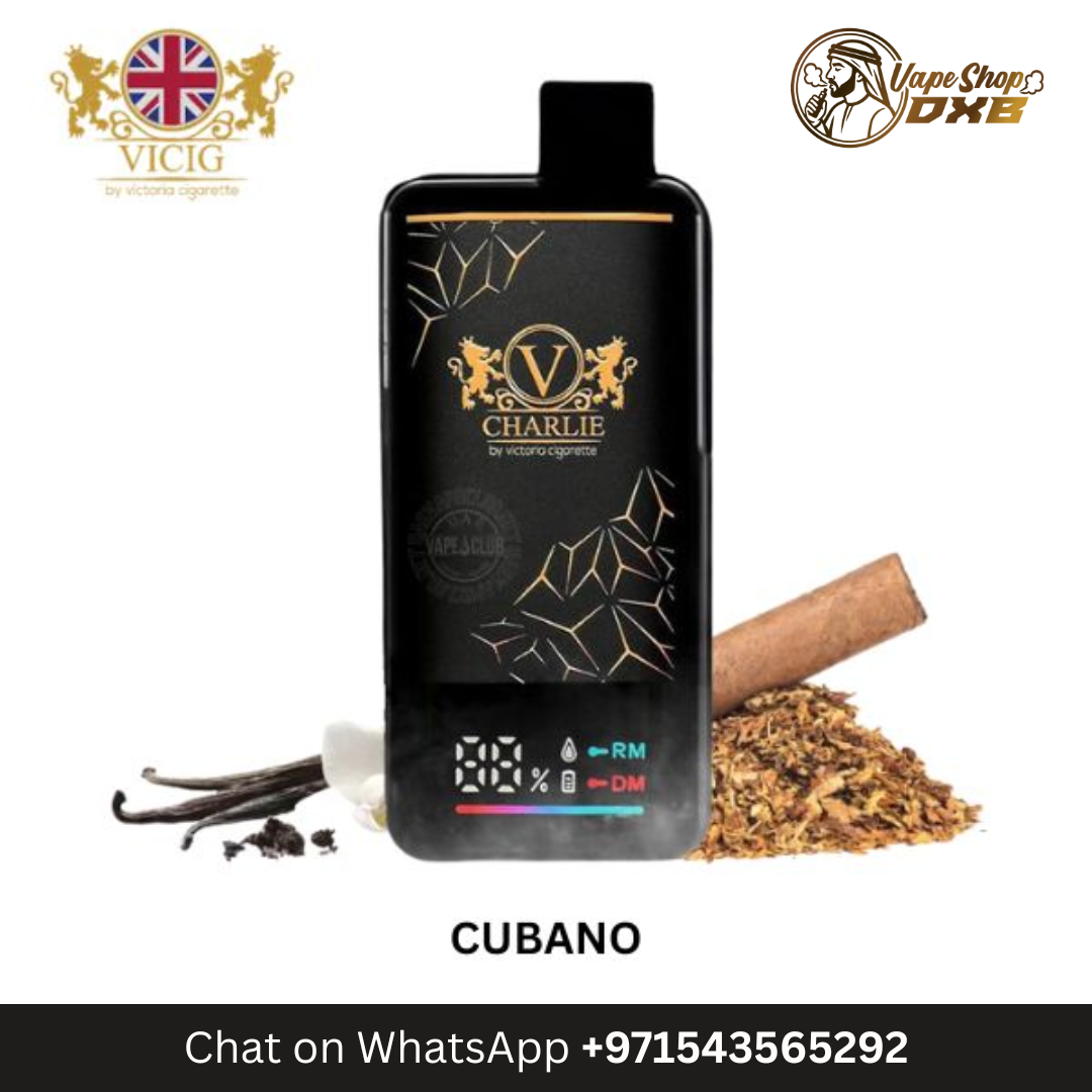 VICIG Charlie 15000 Puffs 20MG Rechargeable Disposable Vape Dubai
