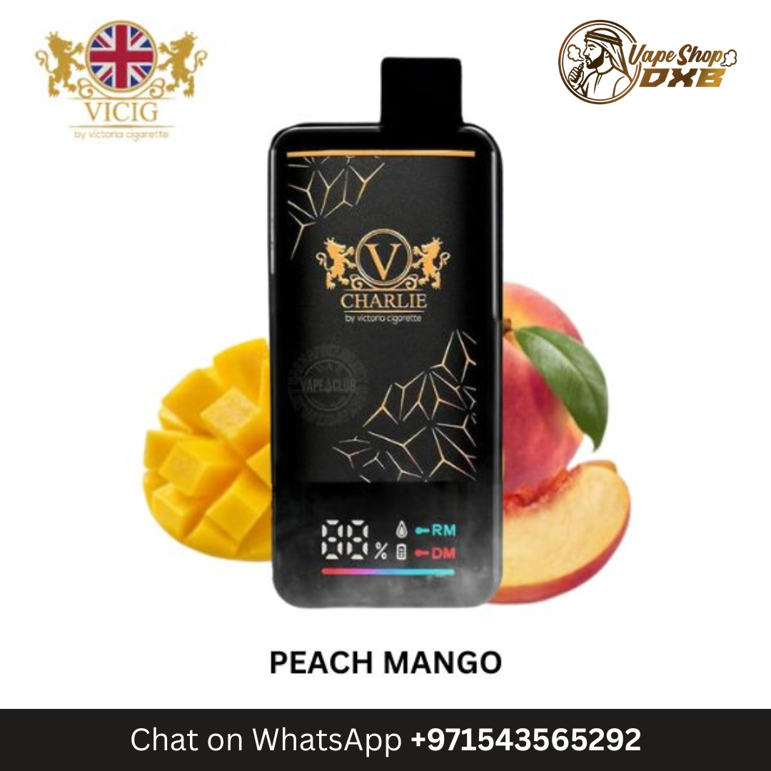 VICIG Charlie 15000 Puffs 20MG Rechargeable Disposable Vape Dubai